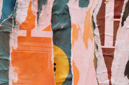 BSA grabs power over online speech, no law change required